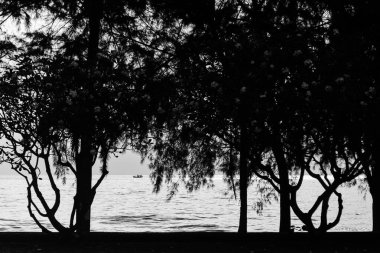 Tropiklerdeki sahilde güzel bir gün batımı. Gökyüzü ve okyanus. Arkaplan