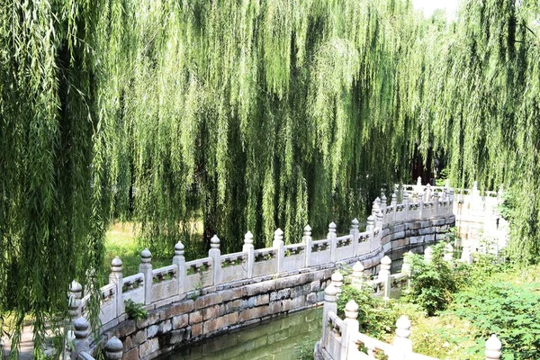 stock image beautiful view of the park