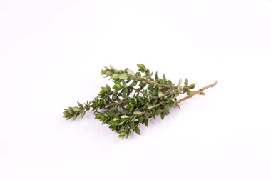 taze kekik beyaz arkaplan