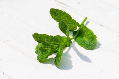 Nane yaprakları, fincanda taze yeşil çay. seçici odak.