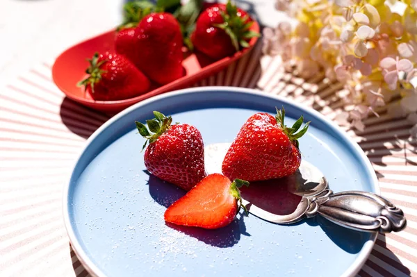 Φρέσκες Φράουλες Στο Πιάτο Την Ηλιόλουστη Μέρα — Φωτογραφία Αρχείου