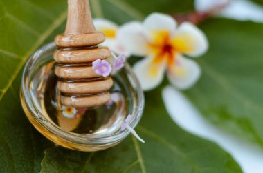 Ballı bal kaşığı ve frangipani çiçeği.