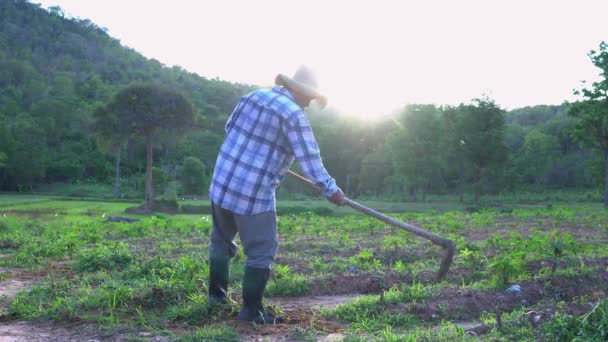 成年农民在田里除草 农村农民 独自持有耕作设备 — 图库视频影像