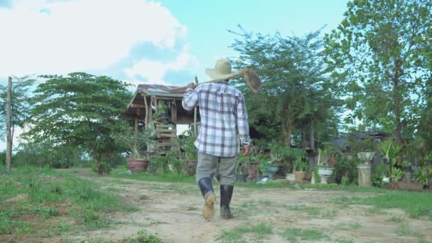 Agricultor Caminhando Fazenda Controles Agrônomos Isolados Casa Campo Madeira Agricultor — Vídeo de Stock
