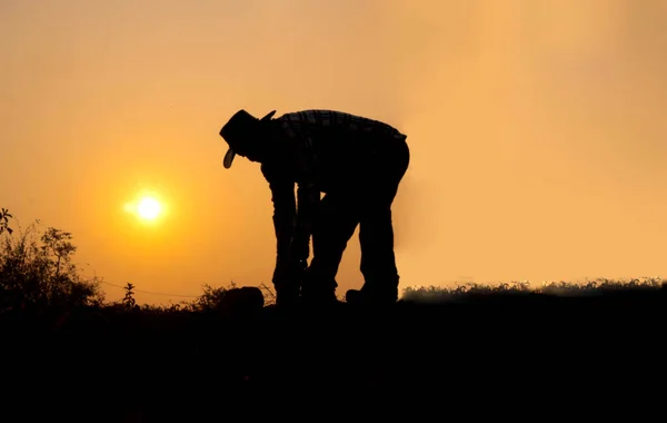 stock image silhouette of a man standing with a cowboy hat Miner background image dressed in orange, blurred