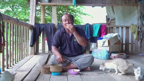 可怜的老人和猫一起在木屋里吃饭 — 图库视频影像