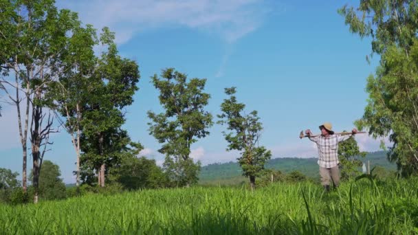 Aktivitas Rekreasi Padang Rumput Berjalan Dewasa Diberkati Dengan Alam Pegunungan — Stok Video