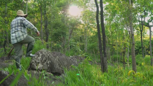 Adulte Homme Trekking Montagne Rocher Vert Feuille Touristique Trekking Forêt — Video