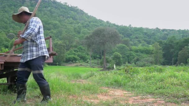 一个男农场主独自穿过农场 泰国农业 山地耕地 绿色自然 — 图库视频影像