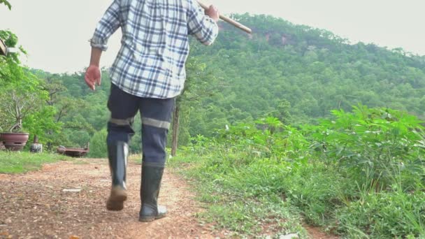 一个男农场主独自穿过农场 泰国种植山地 绿色自然耕地的专业农民 — 图库视频影像