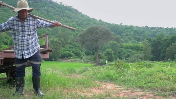 Egy Férfi Farmer Egyedül Sétál Farmon Mezőgazdasági Területeket Hegyekkel Erdőkkel — Stock videók
