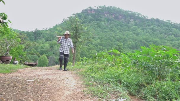 Ένας Αρσενικός Αγρότης Περπατάει Μόνος Του Στη Φάρμα Επαγγελματίες Αγρότες — Αρχείο Βίντεο