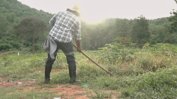 Granjero Granjero Cortando Hierba Solo Granja Agricultores Profesionales Cultivando Tierras — Vídeos de Stock