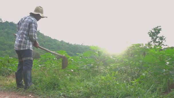 农场主 男农场主 独自在农场割草 泰国种植山地 绿色自然耕地的专业农民 — 图库视频影像