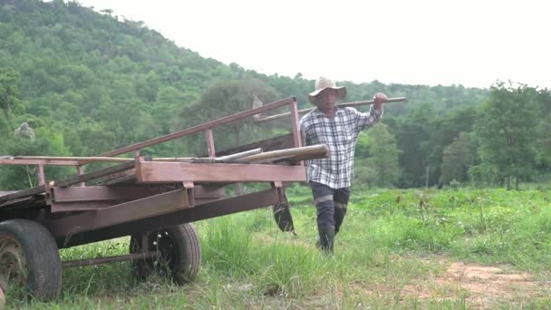 Muž Zemědělec Kráčející Sám Farmě Profesionální Zemědělci Obdělávající Zemědělskou Půdu — Stock video