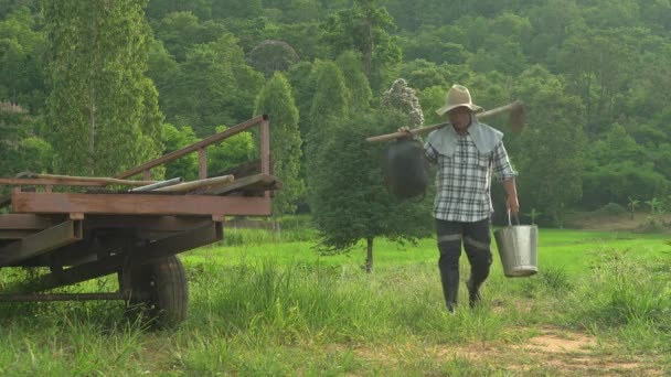 稻田田人走着 看着手里拿着铲子耕作的植物生长 — 图库视频影像
