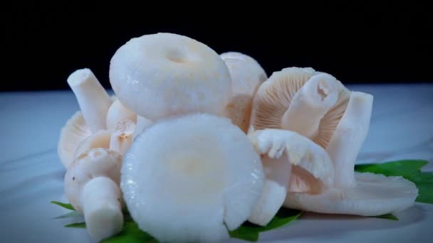 Des Champignons Shiitake Blanc Sur Fond Noir Aliment Riche Vitamines — Video