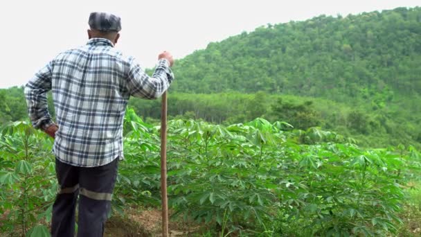 Masculin Adult Fermier Mersul Jos Ținând Lopată Îngrijirea Fermei Asiatici — Videoclip de stoc