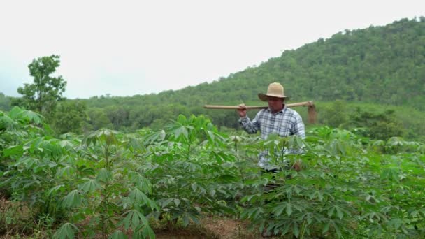 成年人 手持铲子走路 照看农场 泰国裔亚洲人 木薯种植园和热带作物 — 图库视频影像
