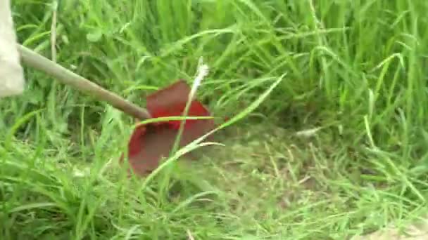Gardener Working Hand Lawn Mower Weed Cutter Power Weeder Brush — Stock Video