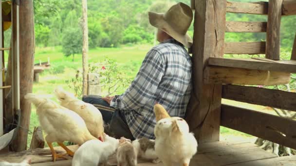 一位老人坐在孤独的阳台上 望着稻田 天然肉鸡 白人农民 以及泰国农村人民的生活方式 — 图库视频影像