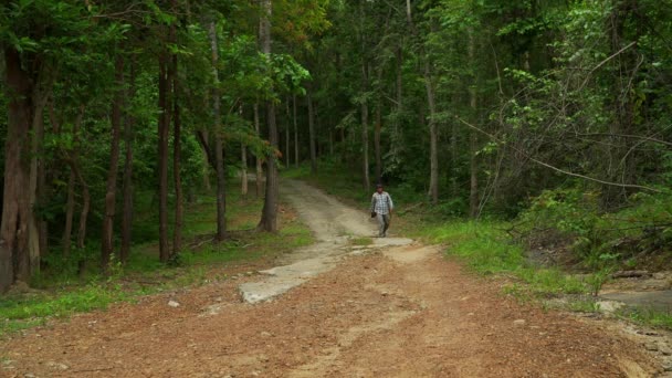 成年人 一个人拿着相机 日落时带着数码相机在森林里散步 在泰国寂寞探险 — 图库视频影像