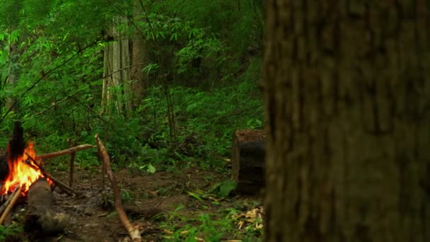 Полум Вогню Дощовому Лісі Захисту Від Небезпеки Виживання Джунглів Туризму — стокове відео