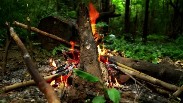 保護のための熱帯雨林で火災 ジャングルでの危険からの生存 観光とタイの国立公園での冒険 — ストック動画