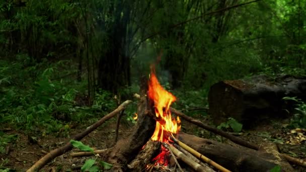 Полум Вогню Дощовому Лісі Захисту Виживання Від Небезпеки Джунглях Туризму — стокове відео
