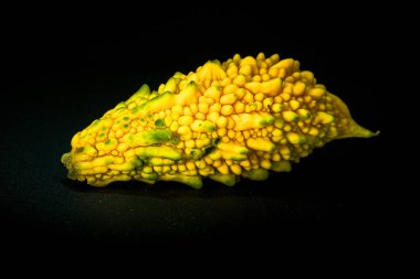 Acı kabak meyvesi şifalı bir bitkidir. Üzüm ağacı gibi acı bir tadı var..