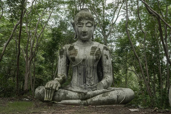 Буддизм Стародавня Архітектура Тайські Храми Ліси Статуї Голови Листя Очі — стокове фото