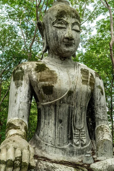 Buddhizmus Ősi Építészet Thai Templomok Erdők Szobrok Fejek Levelek Szemek — Stock Fotó