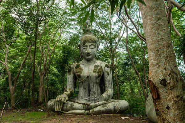 Buddhizmus Ősi Építészet Thai Templomok Erdők Szobrok Fejek Levelek Szemek — Stock Fotó