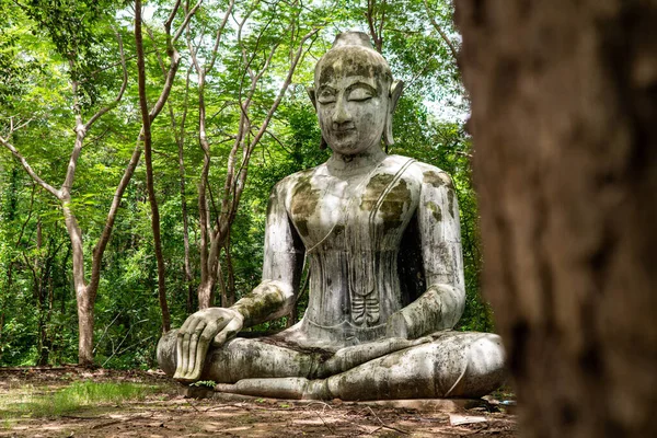 Buddismo Architettura Antica Templi Thailandesi Foreste Statue Teste Foglie Occhi — Foto Stock