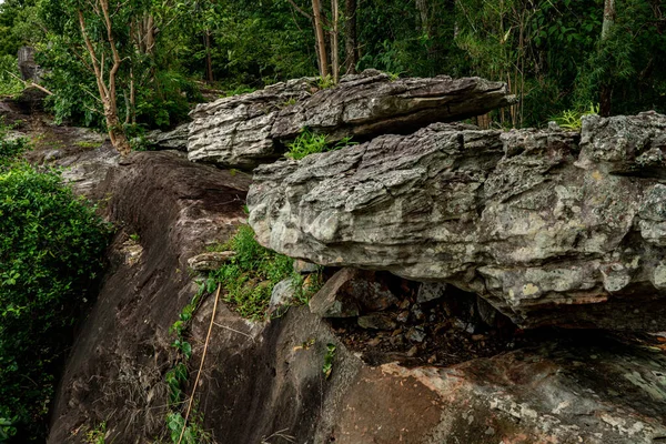 Dik kayalıklar, doğa, orman, güzel dağ gökyüzü, manzaralı yerler, turizm