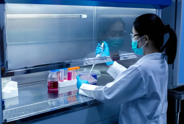 Forskaren Använde Mikropipett Provberedningen Laboratoriehöljet För Bioassay Vitro Celler Mikroplatta — Stockfoto