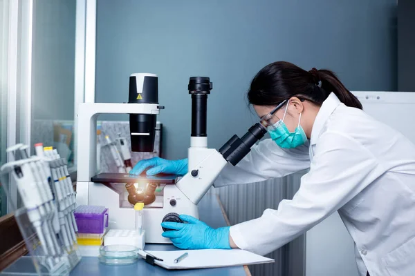 Chemical Advanced Research Laboratory Porträtt Kvinnlig Forskare Med Hjälp Mikroskop — Stockfoto