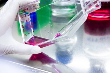 Bilimadamları laboratuvarda kanser hücresi kültürü örnekleri hazırlıyorlar. Uyuşturucu testinin çözeltisini pipetlemek için burette kullanıyorlar. Araştırma ve uyuşturucu geliştirme, Tıbbi, İlaç, Biyokimya.