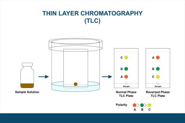 Illustration of thin layer chromatography TLC comprising normal-phase and reversed-phase TLC plates. The TLC plates are used for investigation or screening detection of sample solution. clipart