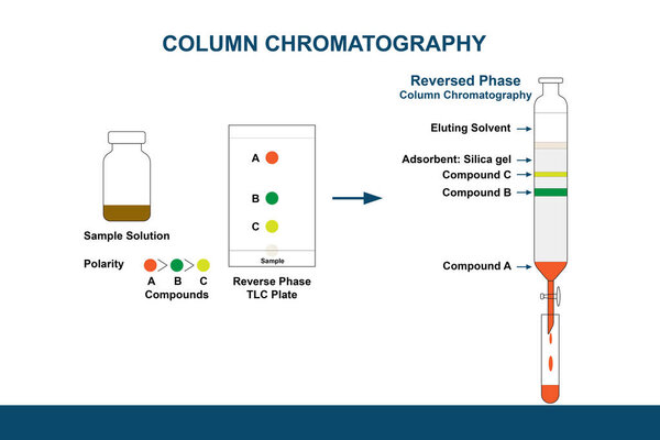 Illustration of reversed-phase thin layer chromatography plate and reversed-phase Column Chromatography are used to investigate and isolate pure compounds from the mixture sample solution.