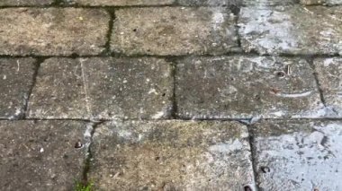 Sonbahar yağmuru damlaları taşların üzerindeki büyük su birikintisine dökülüyor, sokakları sel basıyor. Yağmur mevsiminde sağanak yağmur nedeniyle yollar taşar. Su altındaki yola yağmur damlaları düşüyor. Yüksek