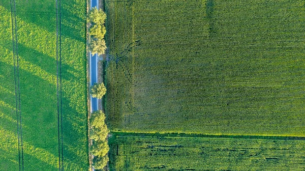 Padrões Coloridos Campos Cultivo Terras Agrícolas Vista Aérea Foto Drone — Fotografia de Stock