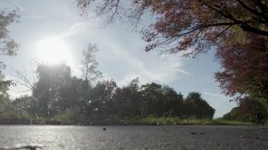 Orman çakıl yolu boyunca bisiklete binen adam. Orman yolunda bisiklet sürmek. Bisiklet maceraları. Orman yolunda bisikletçi. Toprak yolda bisiklet sürüyor. Ormanda bisiklet süren bir adam. Aktif spor. Yüksek kalite 4k