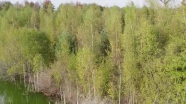 Yukarıdan mavi göller. Akşamları yeşil ormandaki göller sonbaharda güneş ışığı drone görüntüsü. Sahne sonbahar arkaplanı. Ormanlı resimli göl kenarı. Yüksek kalite fotoğraf. Yüksek kalite 4k görüntü