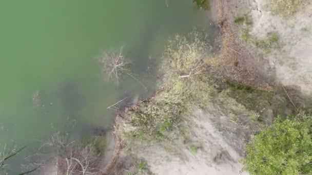 Lacs Bleus Haut Lacs Dans Forêt Verte Soirée Vue Aérienne — Video