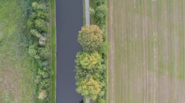 Hava görüntüsü. Kanal boyunca bisiklet yolunun kuş bakışı manzarası, ağaçlar ve Belçika, Avrupa 'daki yeşil mısır tarlaları. Yüksek kalite 4k görüntü