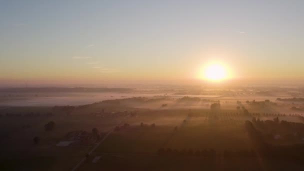 Drámai Légi Felvétel Egy Gyönyörű Zöld Sárga Mezőgazdasági Ültetvényről Amely — Stock videók