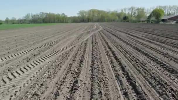 完美的褐色犁田垂直顶视图线条 光滑条纹上的泥土场Drone视图 在低空飞行的可耕地 在比利时的空中俯瞰 高质量的4K镜头 — 图库视频影像
