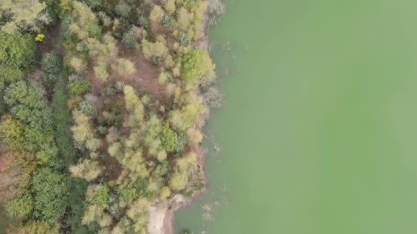 Aerial Top View Country Road Green Fall Forest Blue Lake — Stok video