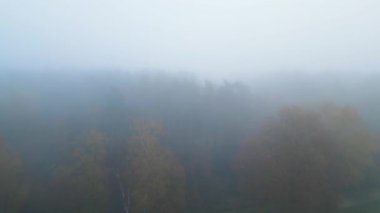 Panoramic aerial view of forest with morning fog in autumn or fall, shot taken by a drone. High quality photo